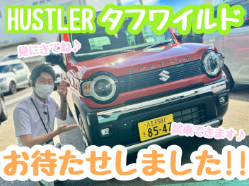 ☆★見たら絶対欲しくなる！！★☆